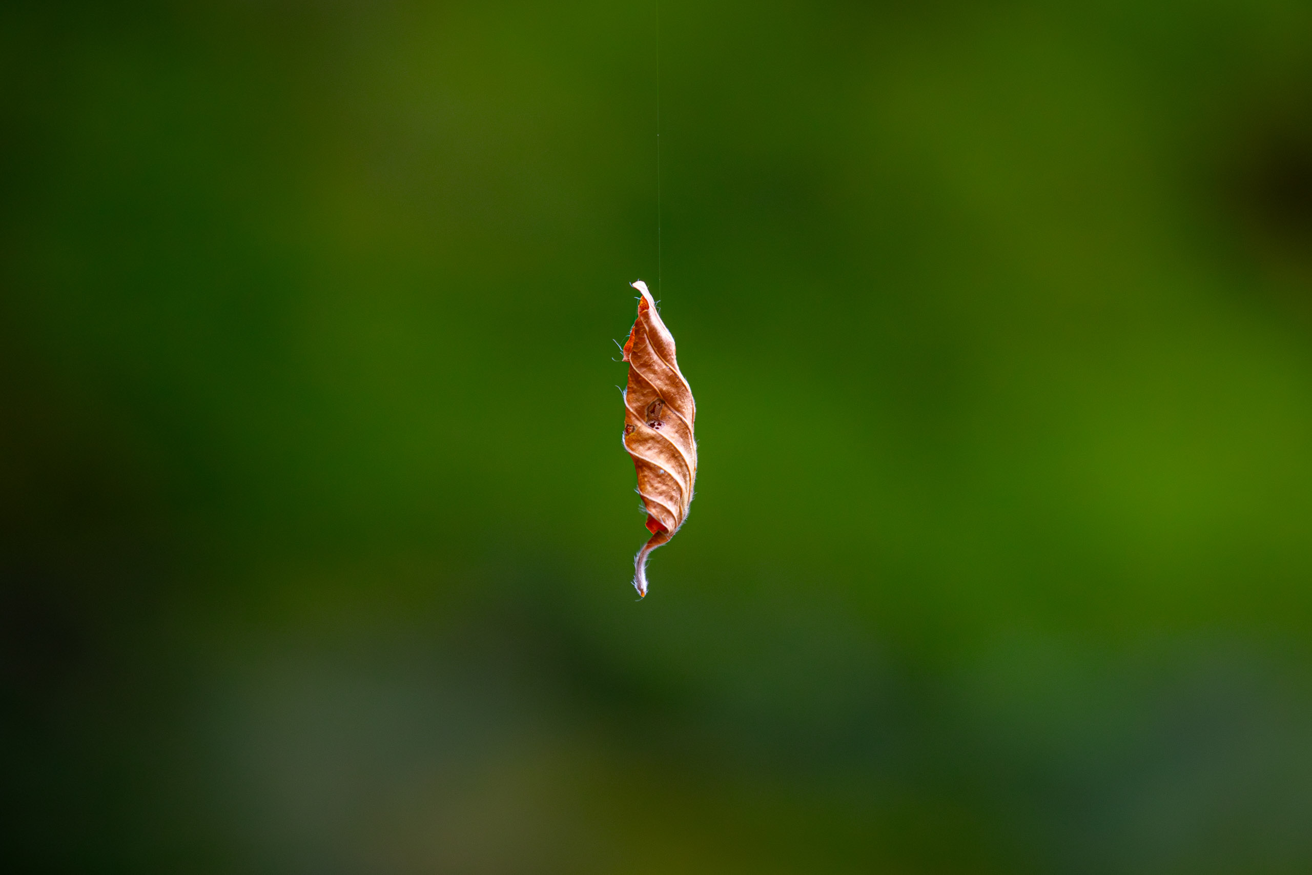 20231014104022 RD4 4708 e